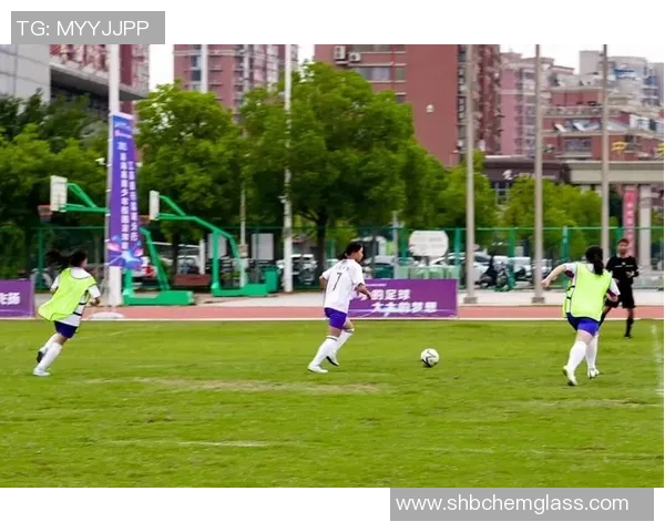 星纪元es足球明星引领新时代足球潮流的魅力与激情